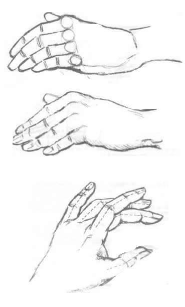 Руки графика карандашом. Как нарисовать руку карандашом поэтапно
