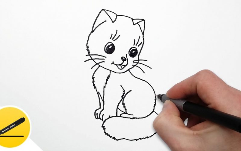 как нарисовать кошку поэтапно